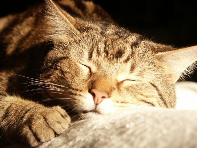 Liamsleep.jpg