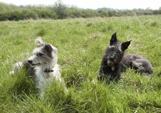 Inca and Mags
