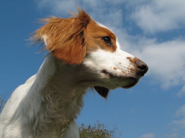 Abi with her sky view